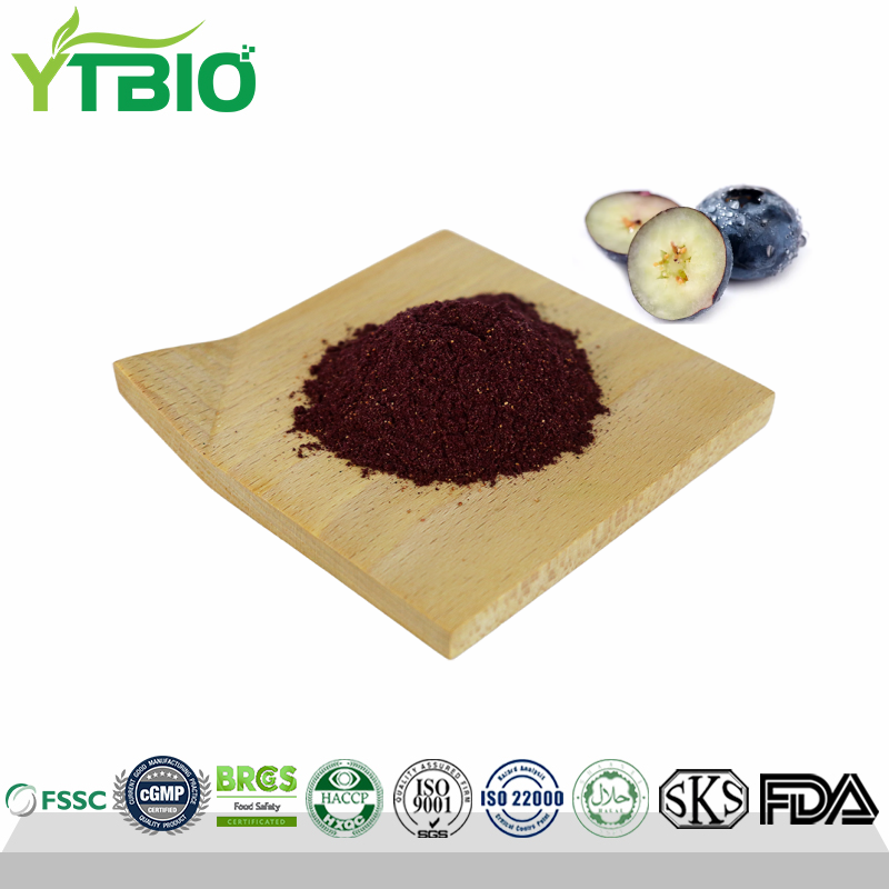 Premium Freeze-dried/Spray-dried Blueberry Powder Factory