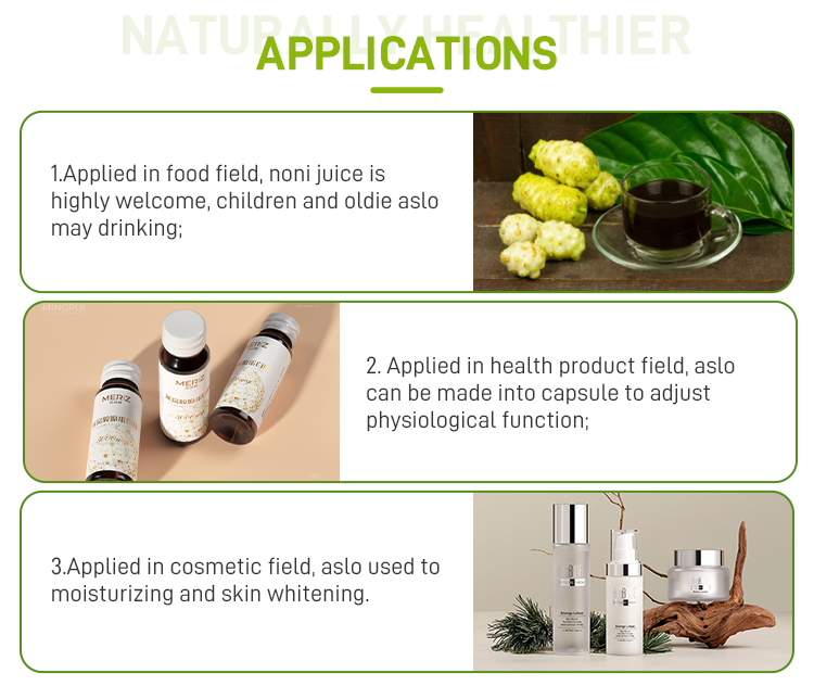 noni-fruit-powder_05