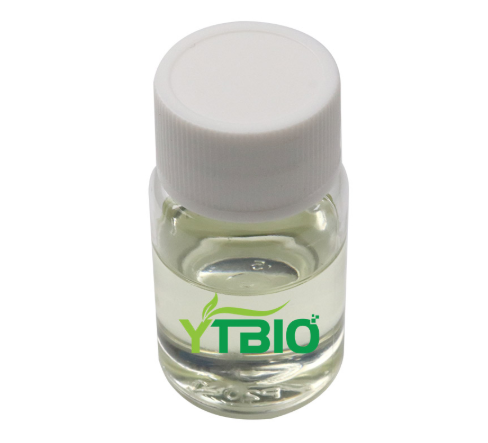Unveiling the Scientific Mechanism of 4-Terpineol in Acne Treatment