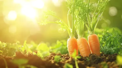 Global Insights on Beta Carotene Powder Innovations for 2025 and Beyond