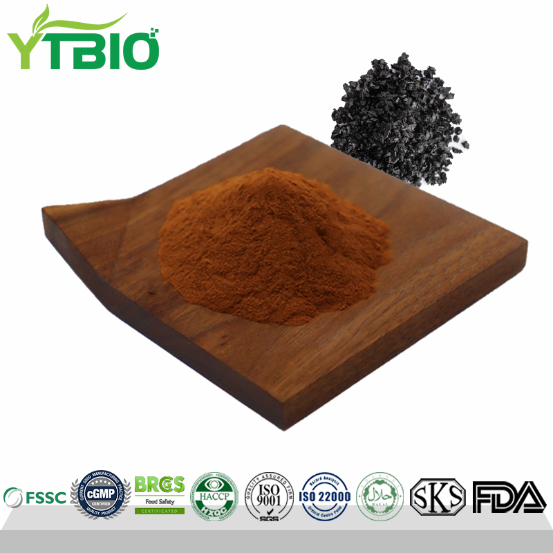 Shilajit Extract Fulvic Acid 50%