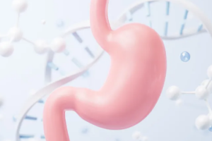 digestive-system