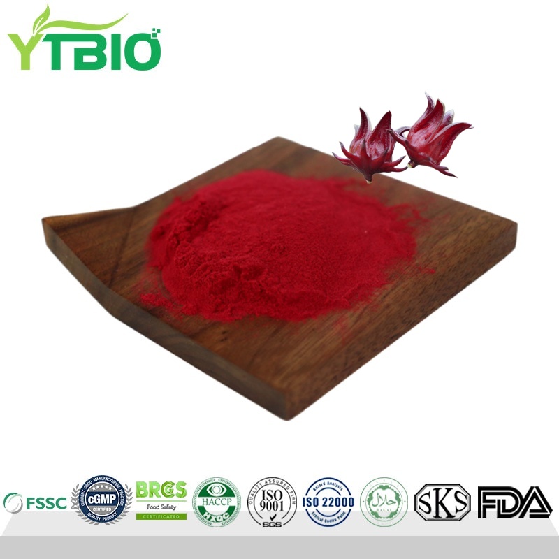 Hibiscus Sabdariffa Extract.jpg