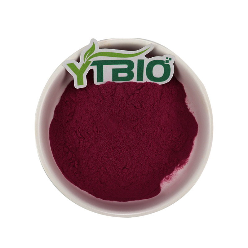Can Blueberry Anthocyanins Offer a New Solution for Weight Management?