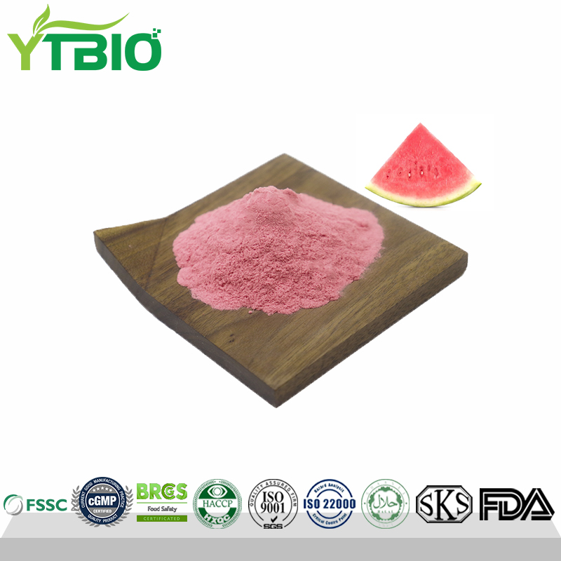 Premium Watermelon Fruit Powder Manufacturer
