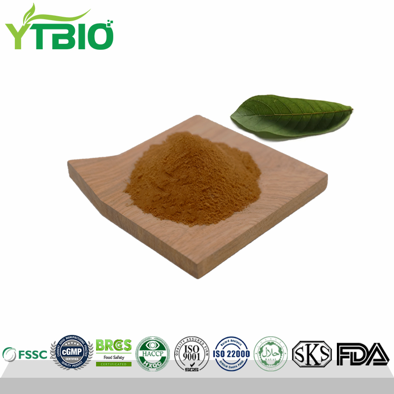 Factory Supply Guava Leaf Extract Powder 10:1