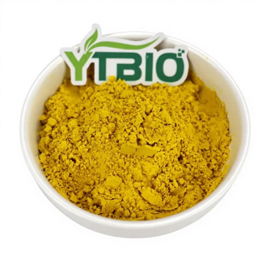 The Key Role of Fisetin in Anti-Aging and Neuroprotection