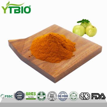 Factory Supply Amla Extract Powder