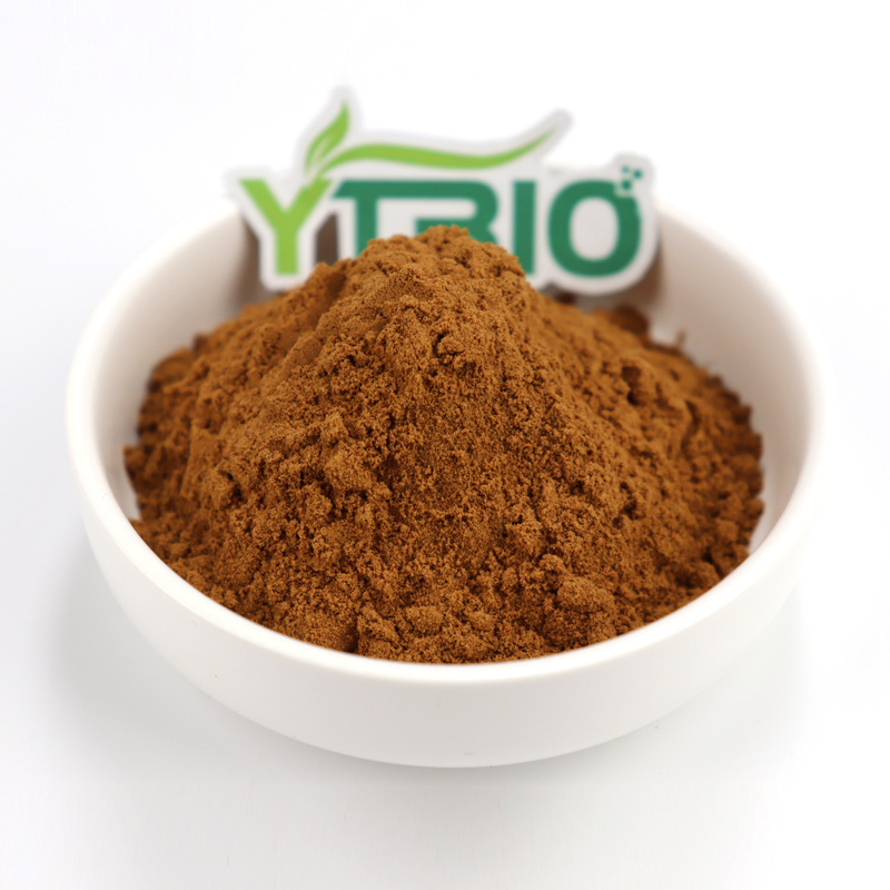 How Does Clove Extract Become a Natural Solution In Food Preservation?