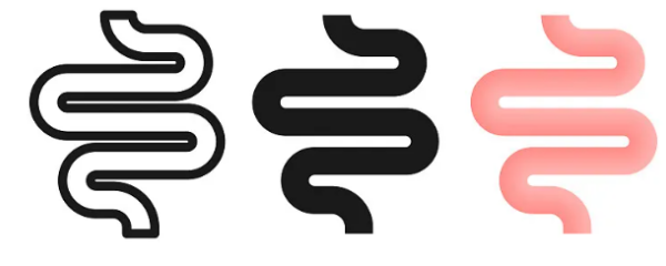 肠道 (2).png