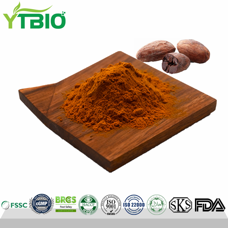 Pure Natural Cocoa Powder Factory