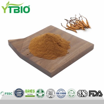 Wholesale 10:1 Cordyceps Extract Powder