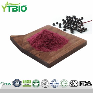 Bulk Elderberry Extract Powder 25% Anthocyanins/17%Anthocyanosides