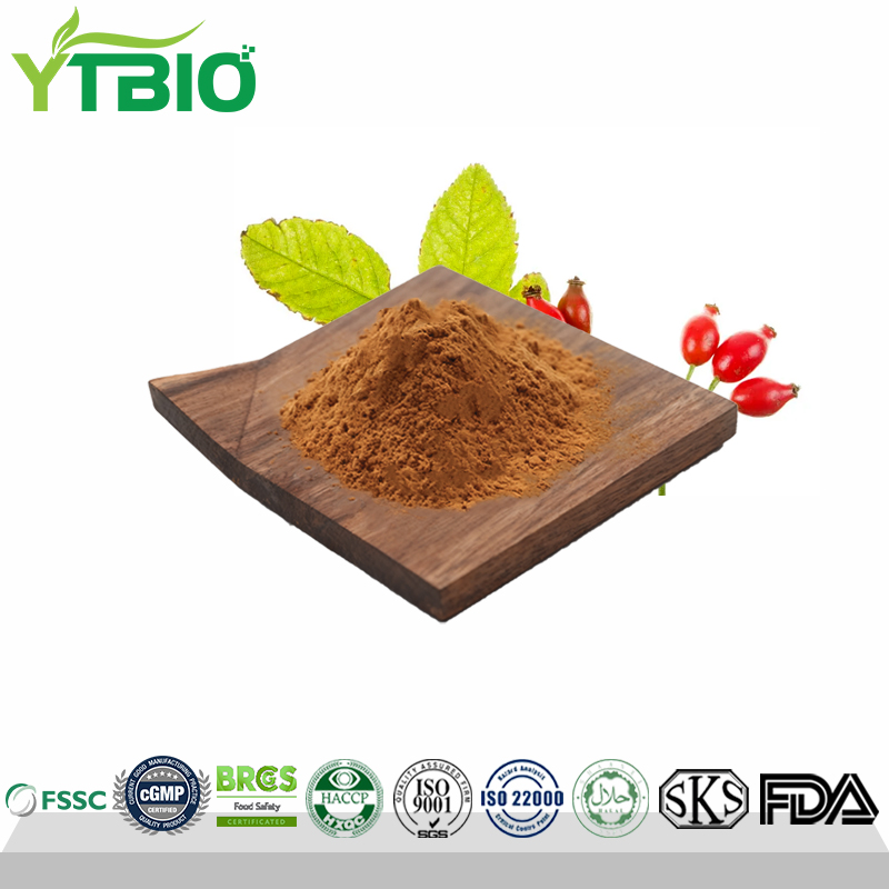 Rosehip Extract Natural 17% Vitamin C Manufacturer
