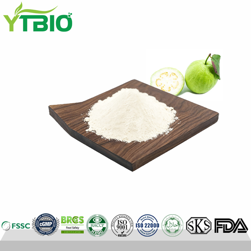 Pure Guava Fruit Powder Bulk Factory