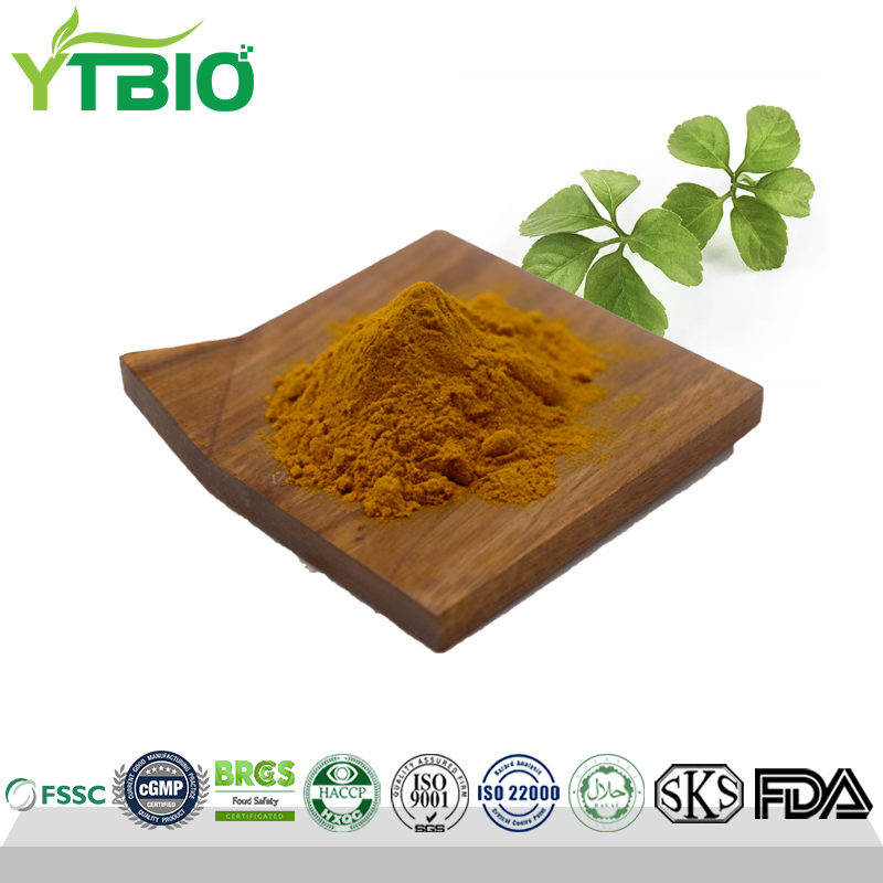 Gynostemma Pentaphyllum Extract Gypenosides