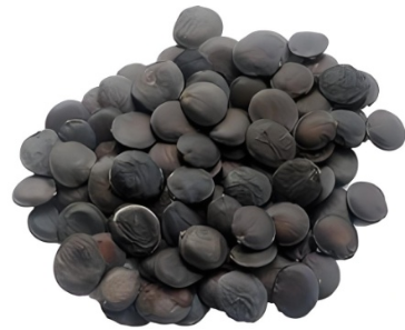 image-516