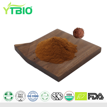 Grape Seed Extract Powder | Factory Direct Manufacturer