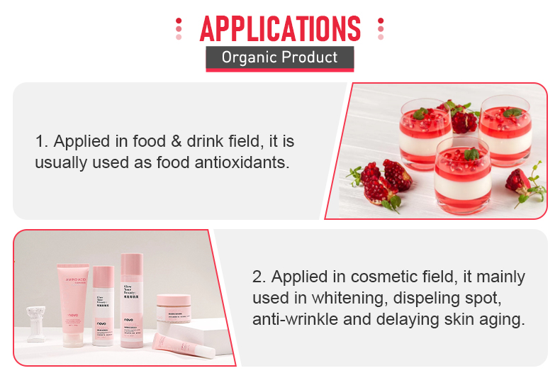 pomegranate-powder_05