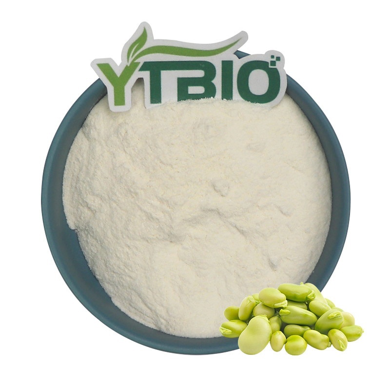 Fava Bean Protein: A Preferred Natural Plant-Based Protein Ingredient for Vegetarians
