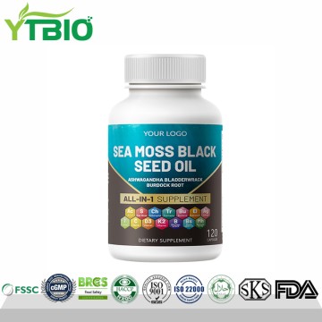 Seaweed Capsules | OEM ODM Manufacturer, Private Label Available