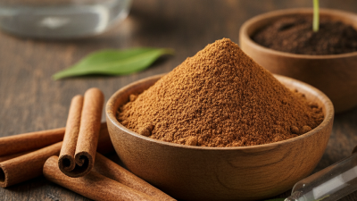What are the Benefits of Cinnamon Extract Powder for Health?