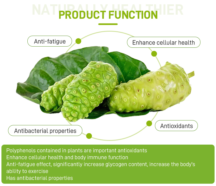 noni-fruit-powder_04