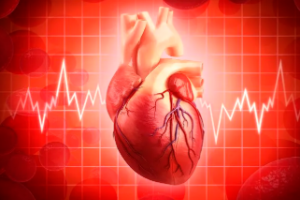 cardiovascular