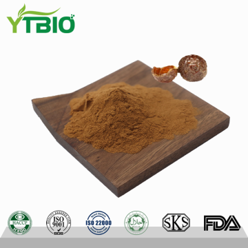Soapberry Extract Powder | Factory Direct Wholesale Manufacturer
