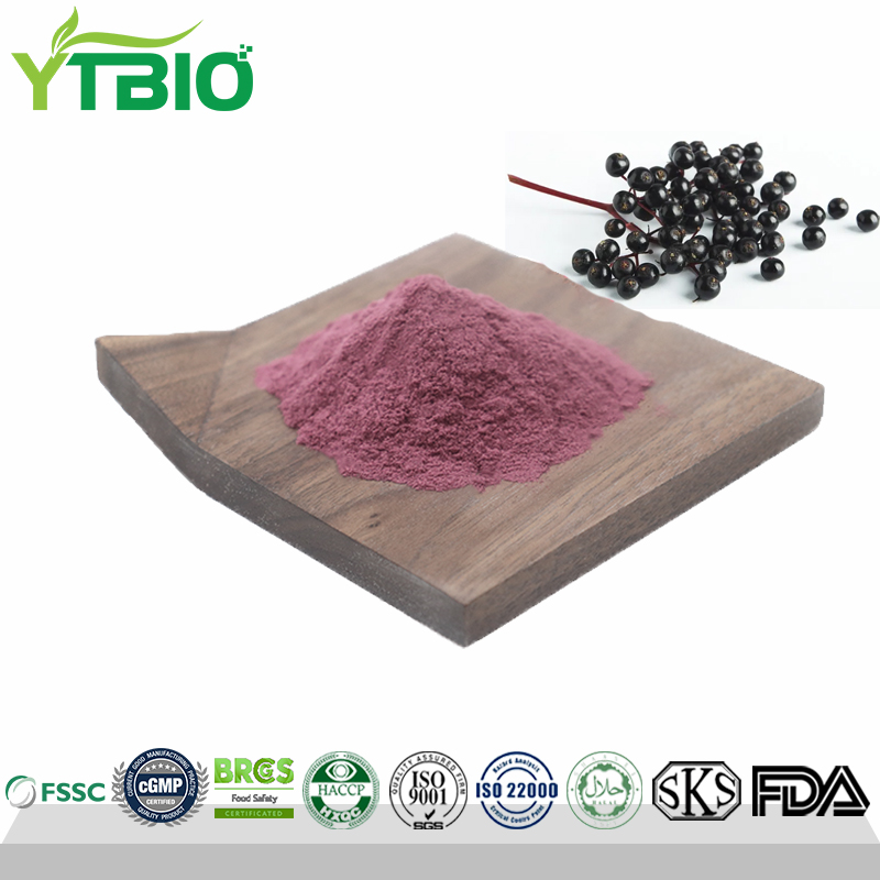 Factory Direct Supply Elderberry Fruit Powder