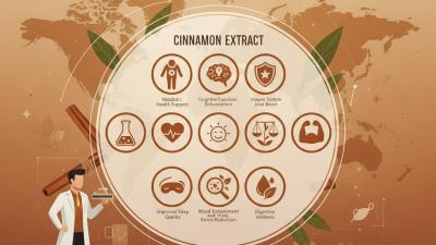 Top 10 Benefits of Cinnamon Extract for Global Buyers?