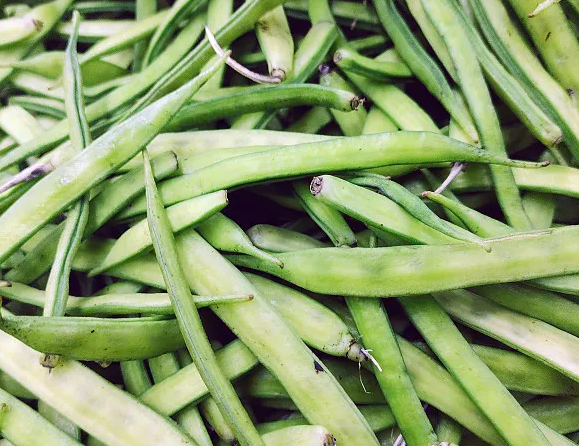 Why Choose Guar Gum Powder for Your Business Needs?