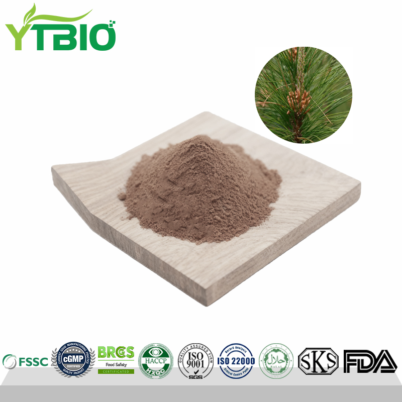 Factory Direct Supply Masson Pine Extract 10% Flavonoids