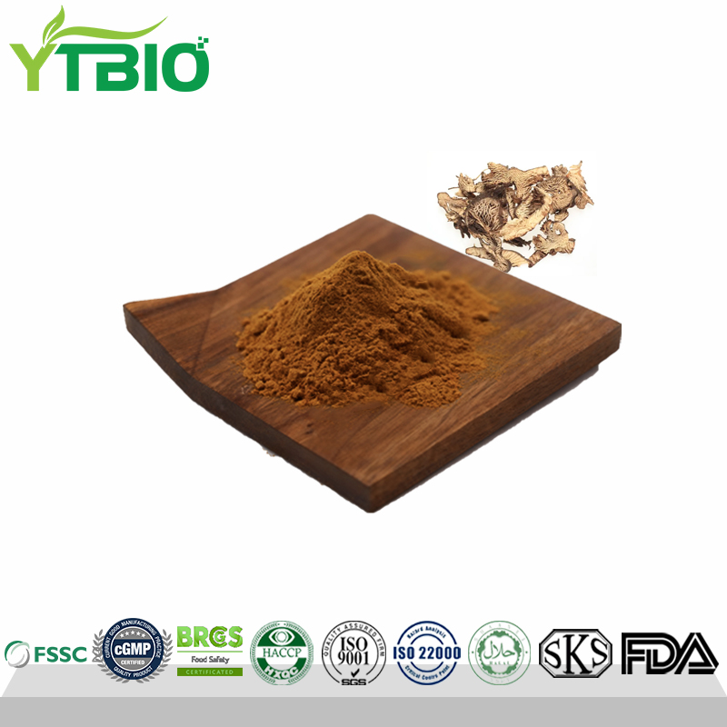 Factory Supply Black Cohosh Extract  2.5% Triterpene Glycosides