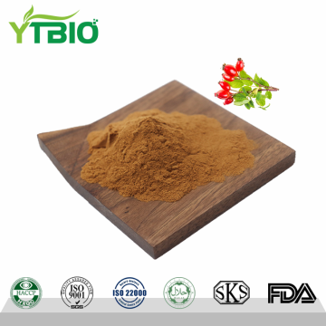 Wholesale 10:1 Rosehip Extract Powder