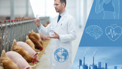Top 10 Uses of Choline Chloride for Global Buyers?