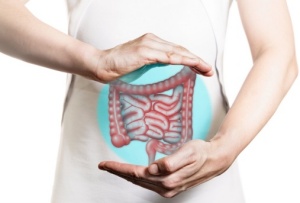 digestive-support-01_copy