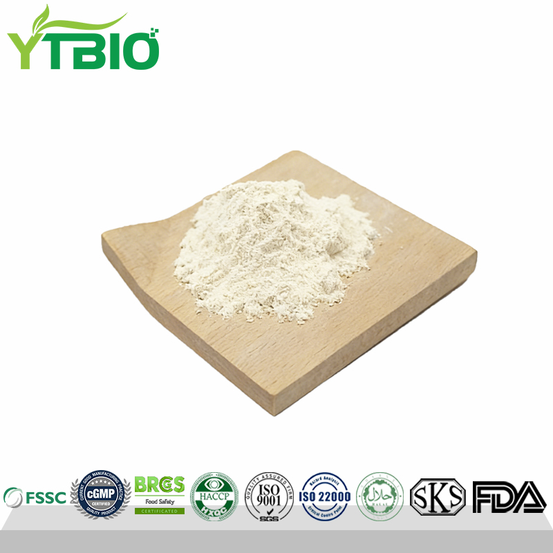 Wholesale Fish Oil Powder 7% DHA