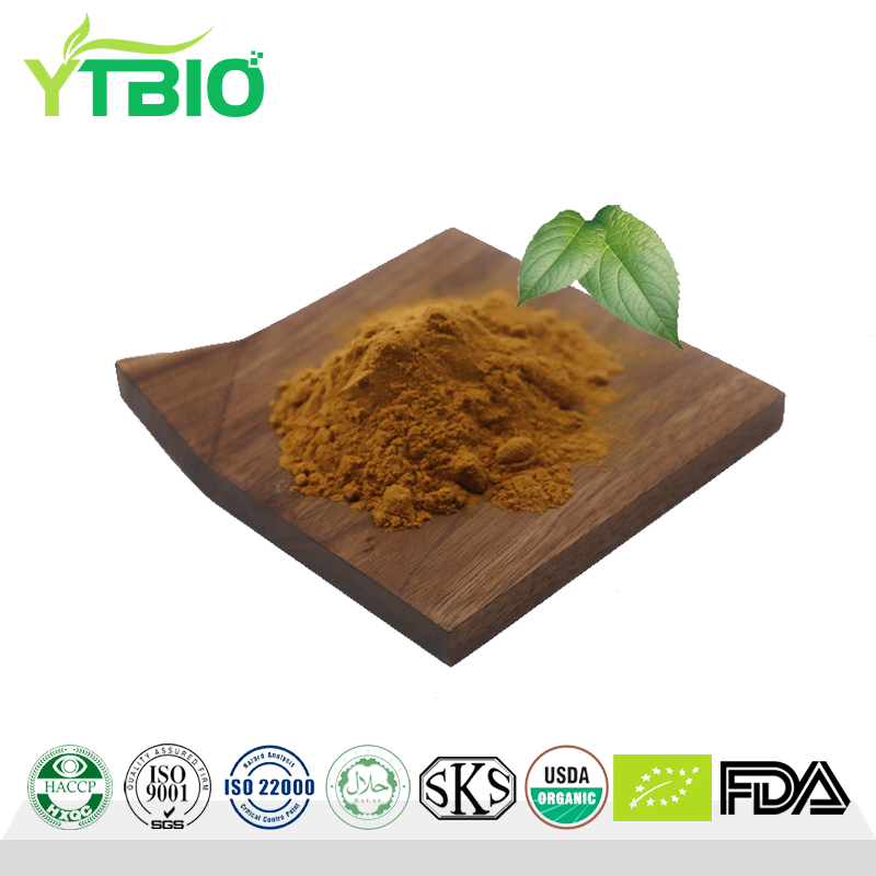 Supply Eucommia Ulmoides Extract Powder Eucommia Extract