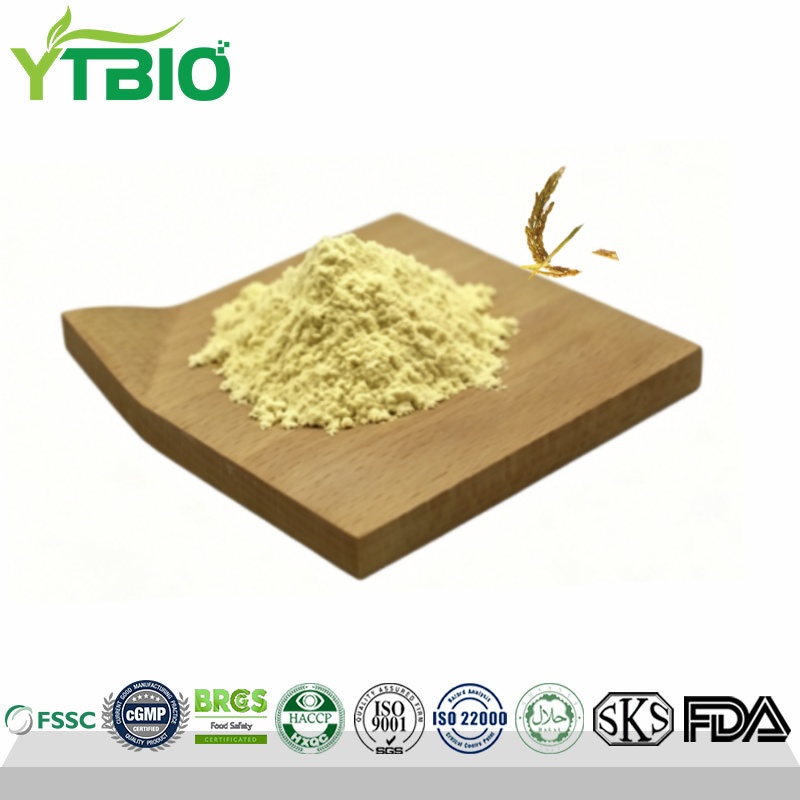 Wholesale 1% Ceramide Rice Bran Extract Powder
