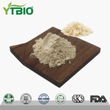 Rice Protein Powder Gummy Supplement Manufacturer