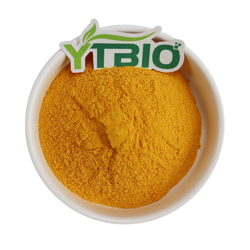 Riboflavin (Vitamin B2): A Key Nutrient for Maintaining a Healthy Skin Barrier