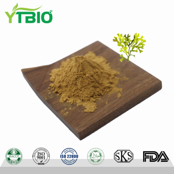 Factory Supply Fucus Vesiculosus Extract Powder