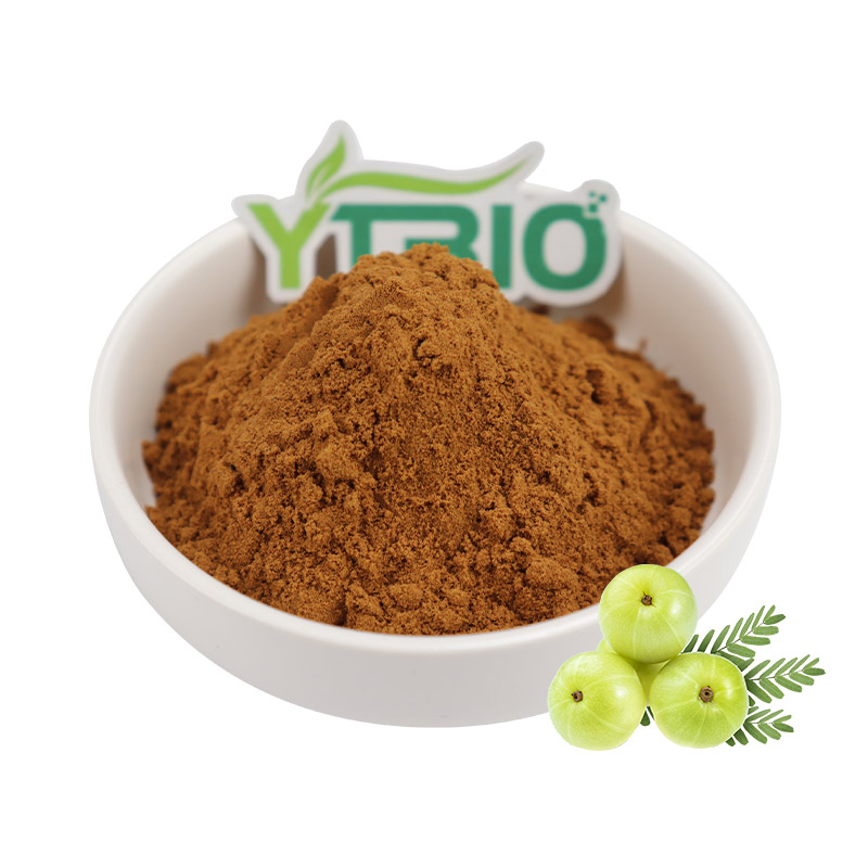Natural Liver Protector: How Phyllanthus emblica Extract Effectively Alleviates Alcoholic Liver Damage