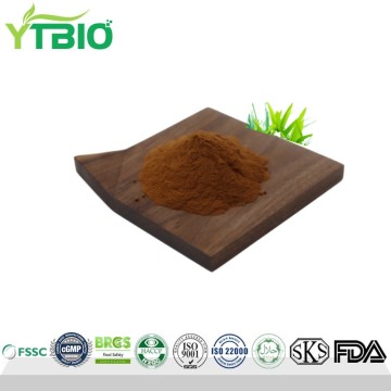 Premium Pandan Leaf Extract Powder Manufacturer