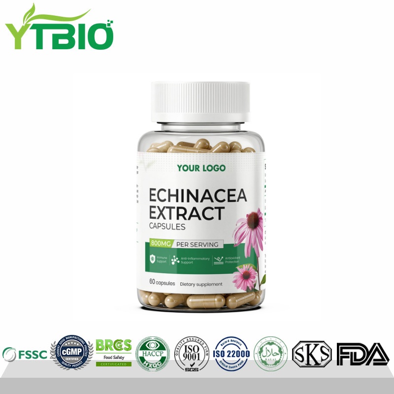 Bulk Supply Echinacea Extract Capsules| OEM Pri...