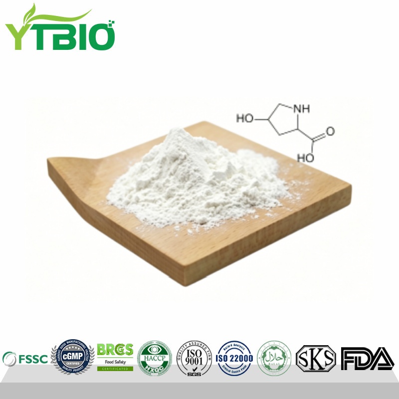 L-Hydroxyproline Powder Immune Support