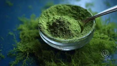 How to Maximize Your Benefits with Best Algae Powder After Sales Support and Reduced Maintenance Costs