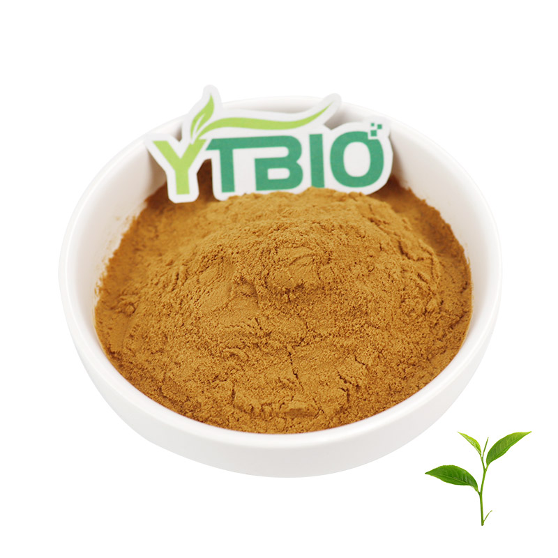 The Dual Value of Tea Polyphenols in Pet Food: Health Benefits and Food Preservation