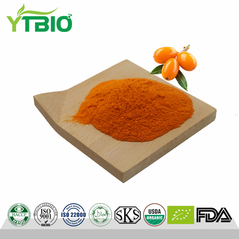 Factory supplies natural Sea Buckthorn Flavonoids Powder